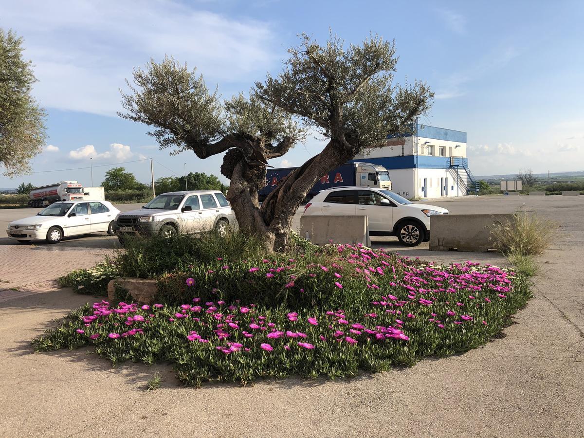 Hotel Restaurant Casa Miquel Alcarraz Εξωτερικό φωτογραφία